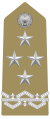 Distintivo per il grado di generale dell'Esercito Italiano.