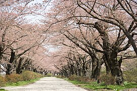 Taman Tenshōchi