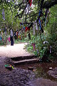 Wish Tree in Madron, Cornwall, England