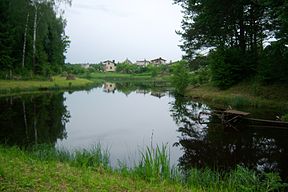 Užtvenktas Dubrius sodų bendrijoje