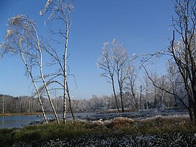 Bellefontaine (Vosges)