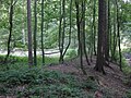 Kleinkastell Holzheimer Unterwald, Limeswall und Kleinkastell, Strecke 4, Taunus- und Wetteraulinie, Hessen.