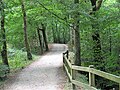 Chemin de promenade autour des étangs du Ter.