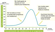 Gráfica con la cantidad de melatonina producida por el cuerpo durante 24 horas