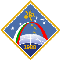 Insigne de la mission