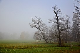 Linnanpuutarhan maisemapuutarhasta.