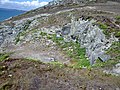 Plomodiern : falaises entre l'anse de Ty Mark et la pointe de Talagrip (détail 3).