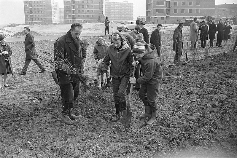 File:Boomplantdag door leerlingen van scholen in Amsterdam-Noord aan de Ilperveldstra, Bestanddeelnr 920-1778.jpg