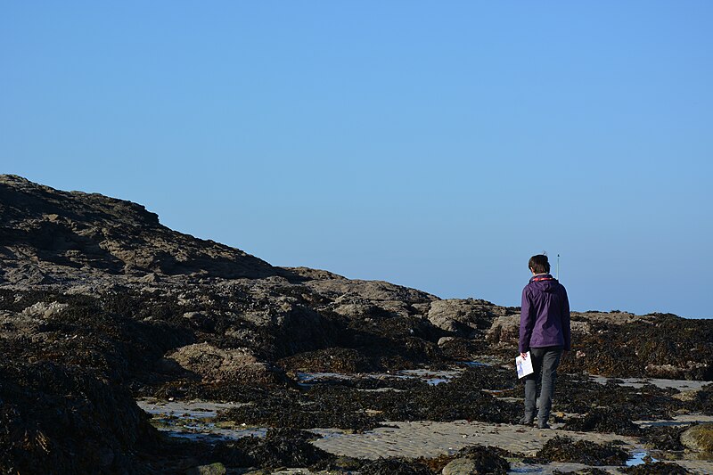 File:Coast of Dinard 01.JPG