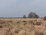 Dwingelderveld, le panorama