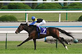 Image illustrative de l’article Deep Impact (cheval)