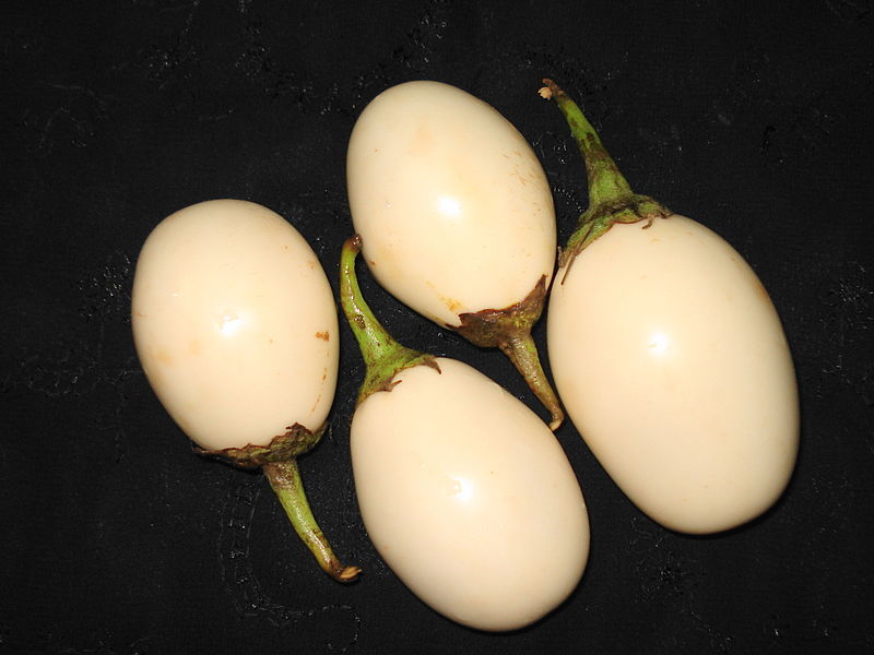 File:Egg plant.JPG