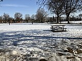 Parc Saint-Donat.