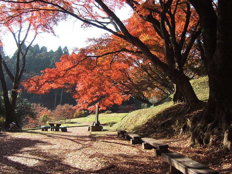 File:Ruins of Sakuyama castle (Tochigi, Japan).jpg