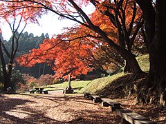 Tochigi