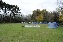 Vivac de grupo scout acampando.jpg