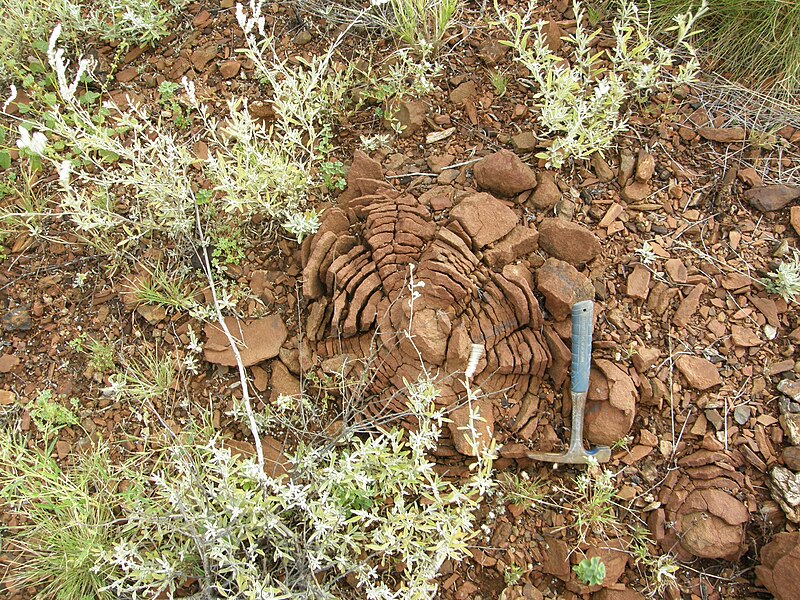 File:Weathering dolerite dyke.JPG