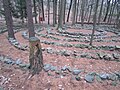 Waldlabyrinth vor dem ehemaligen Kloster Damme (2004)