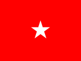 Flag of an Army brigadier general