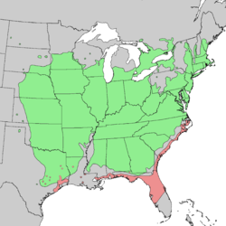 Distribución natural Juniperus virginiana var. virginiana (verde) var. silicicola (rojo)