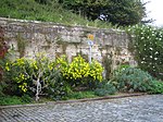 Portion of Boundary Wall to Warwick Castle abutting Mill Street