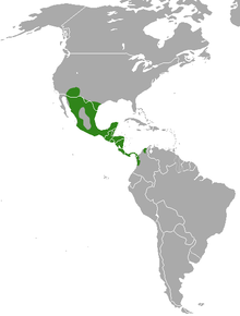 Distribución de Nasua narica