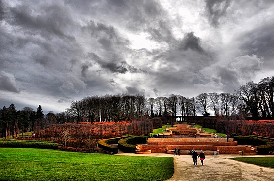 Pohled na park v zimě