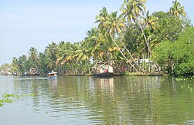 Kerala Kuttanad1.jpg