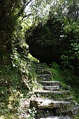 Steps on the Pororari River Track