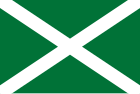 Flag of the Federal Customs Service, 1994