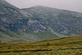 Parc national de Dovrefjell-Sunndalsfjella, 2 août 2014