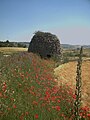 Cabaña de pastor.