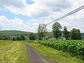 Catskill Scenic Trail as it passes through a farm.