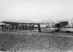 Les oiseaux de France en Roumanie, alignés sur un terrain d'aviation - Médiathèque de l'architecture et du patrimoine - AP62T103690.jpg