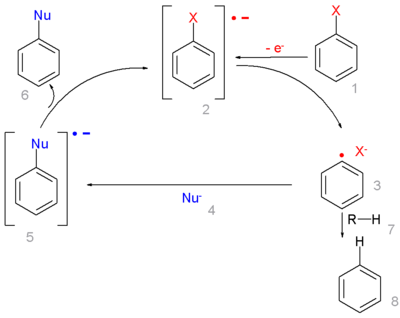 Mechanismus der SRN1-Reaktion