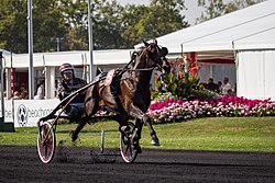 Support Justice at Hippodrome de Vincennes 2014-09-28.jpg