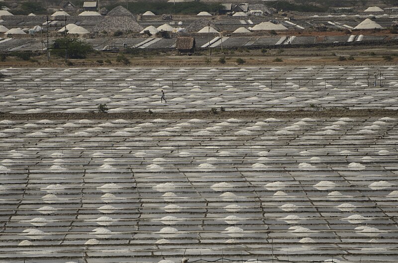 File:Salt pans near point calimere JEG7159.jpg