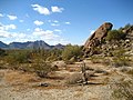 Image 8The Sonoran Desert 35 miles (56 km) west of Maricopa, Arizona (from Geography of Arizona)