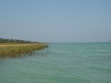 Shore of Lake Petén Itza.