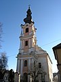 Katholische Kirche