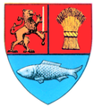 Actual Dolj county CoA.png