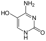 Image illustrative de l’article 5-Hydroxycytosine