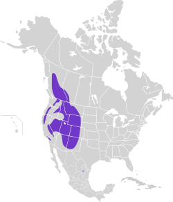 Área de distribución de Nucifraga columbiana