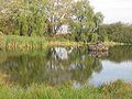 Villagepond / Dorfteich