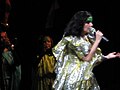 Björk in Toronto Island, 2007