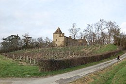 Mirepoix – Veduta