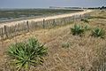 Rivedoux-Plage. La plaja nòrd à marèa bassa, au fons de la baia, lo pont de l'Isla de Re.