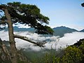 三清山風景 landscape