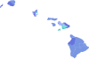 2002 Hawaii's 2nd congressional district special election