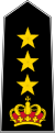 Colonel